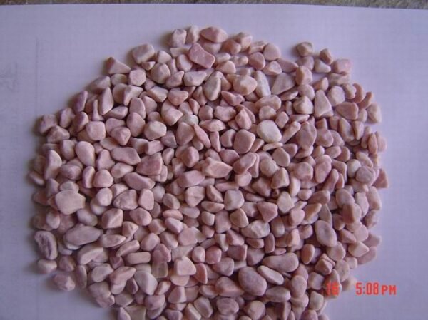 Pebble Stone 6 Natural Pebble Garden Products Good Price